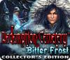 Hra Redemption Cemetery: Bitter Frost Collector's Edition