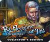 Hra Reflections of Life: Dream Box Collector's Edition