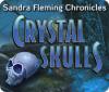 Hra Sandra Fleming Chronicles: The Crystal Skulls