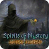 Hra Spirits of Mystery: Amber Maiden Collector's Edition