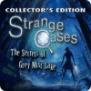 Hra Strange Cases: The Secrets of Grey Mist Lake Collector's Edition