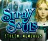 Hra Stray Souls: Stolen Memories