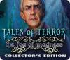 Hra Tales of Terror: The Fog of Madness Collector's Edition