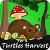 Hra Turtles Harvest