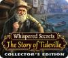 Hra Whispered Secrets: The Story of Tideville Collector's Edition