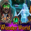 Hra Wonder World
