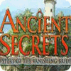Ancient Secrets: Mystery of the Vanishing Bride game