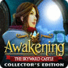 Awakening: The Skyward Castle Collector's Edition game