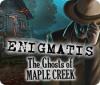 Záhada: Duchů z Maple Creek game