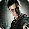 Harry Potter: Fight the Death Eaters game